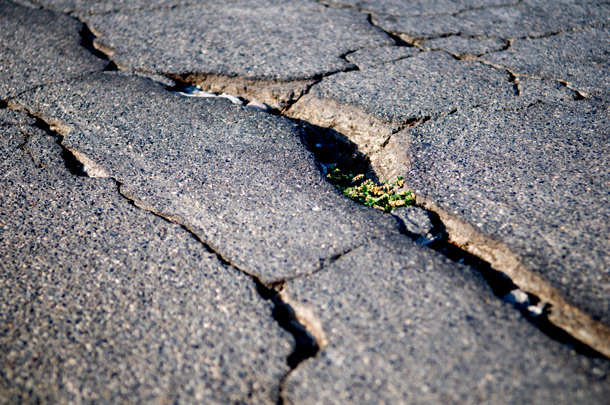 Photo by Sam Hodgson