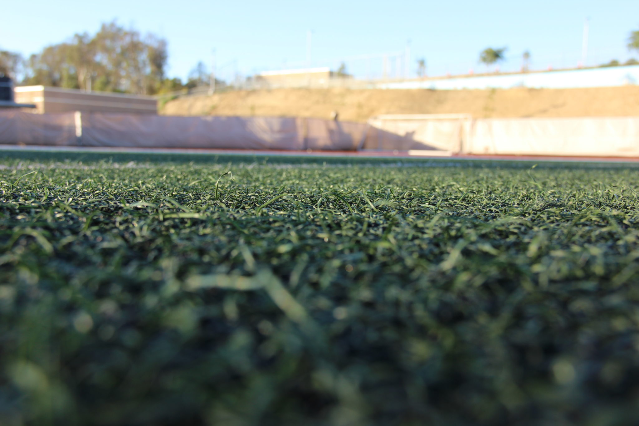 close up of turf on a football field