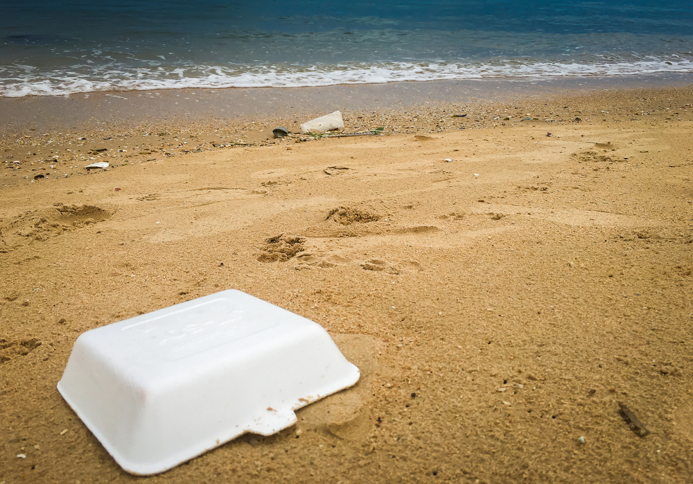 Styrofoam container litter