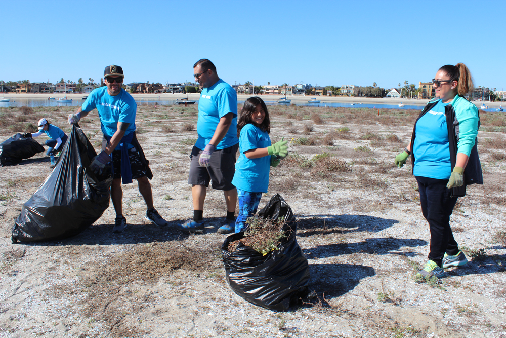 San Diego Audubon Society volunteers protect least tern habitat