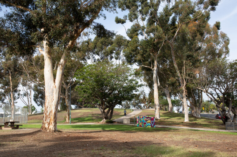 Dennis V. Allen Park