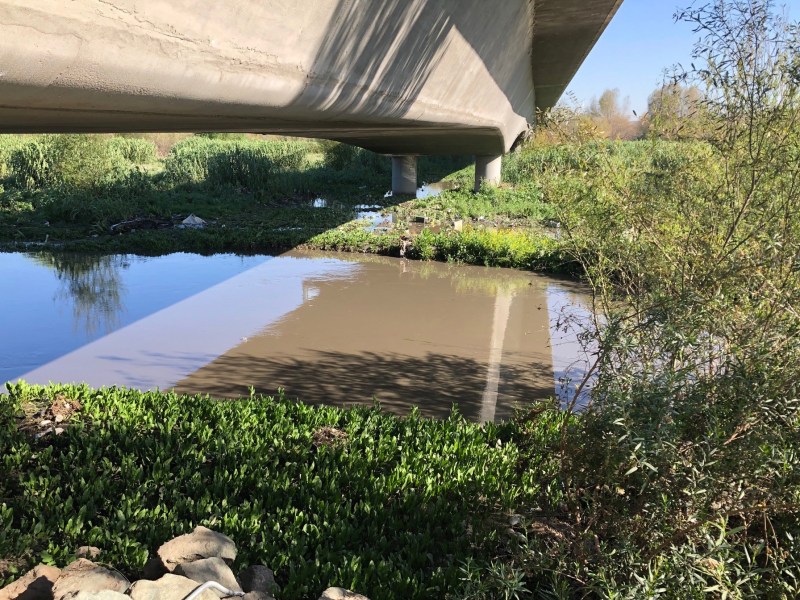 Under the Dairy Mart Road bridge in San Diego