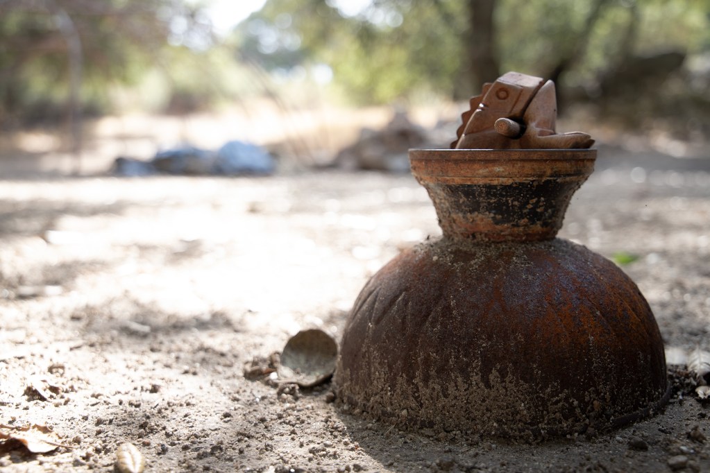 A frog guiro, a wooden percussion instrument, sits near the fire pit. / Photo by Jakob McWhinney