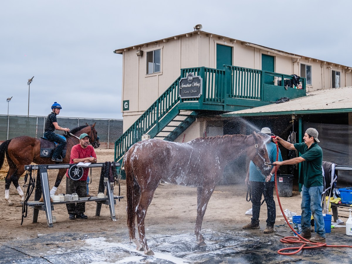 New Del Mar Fairgrounds CEO on Ushering in a New Era 