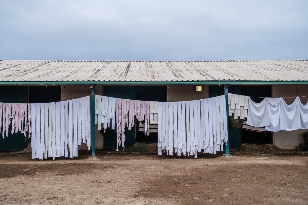 Horse leg wraps hang on a clothesline at the Del Mar Fairgrounds on July 29, 2022. / Photo by Ariana Drehsler