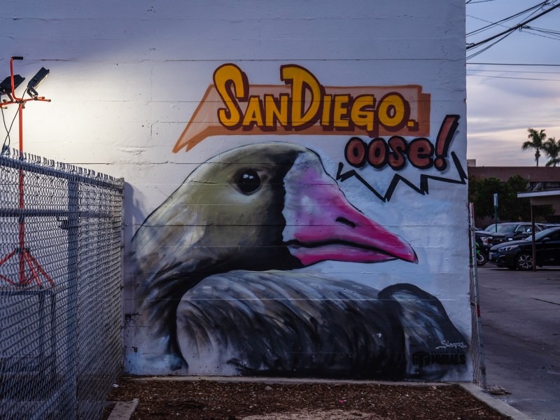 A mural of a goose painted by Paul Jimenez is displayed on the side of The Vogue Theater in Chula Vista on Oct. 31, 2022.