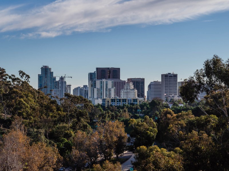 Overlooking downtown and canopy of trees on State Route 163 from Balboa Park on Nov. 11, 2022.