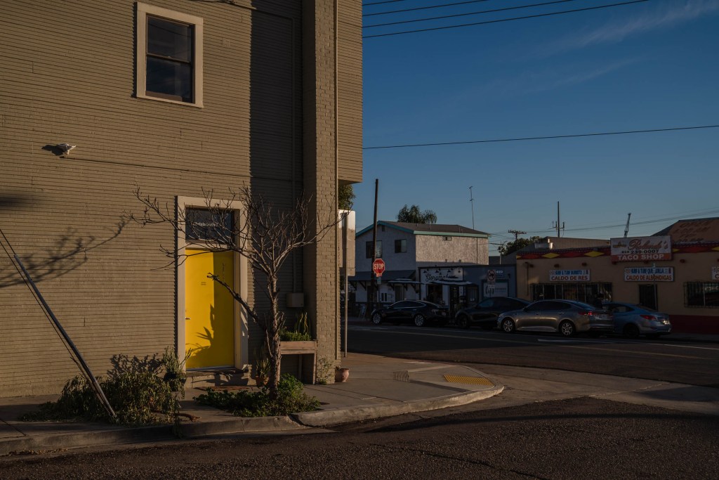 A little tree can be seen in the Barrio Logan neighborhood on Nov. 11, 2022.