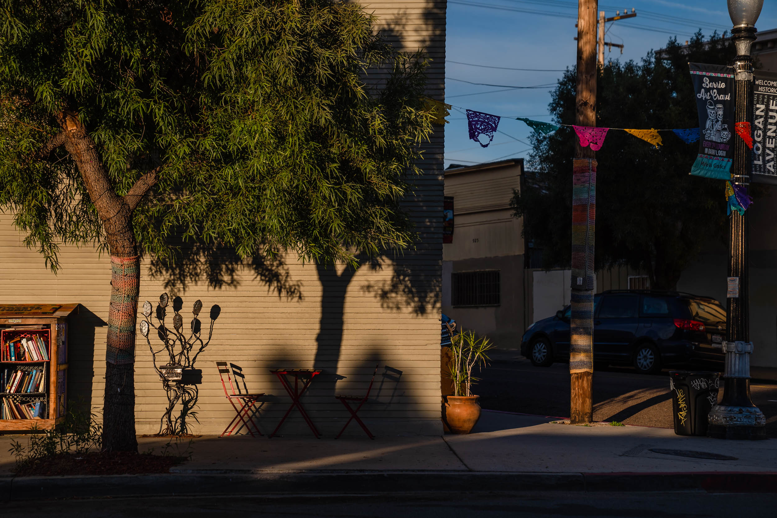 View of a tree near Libélula Books & Co in Barrio Logan on Nov. 11, 2022.