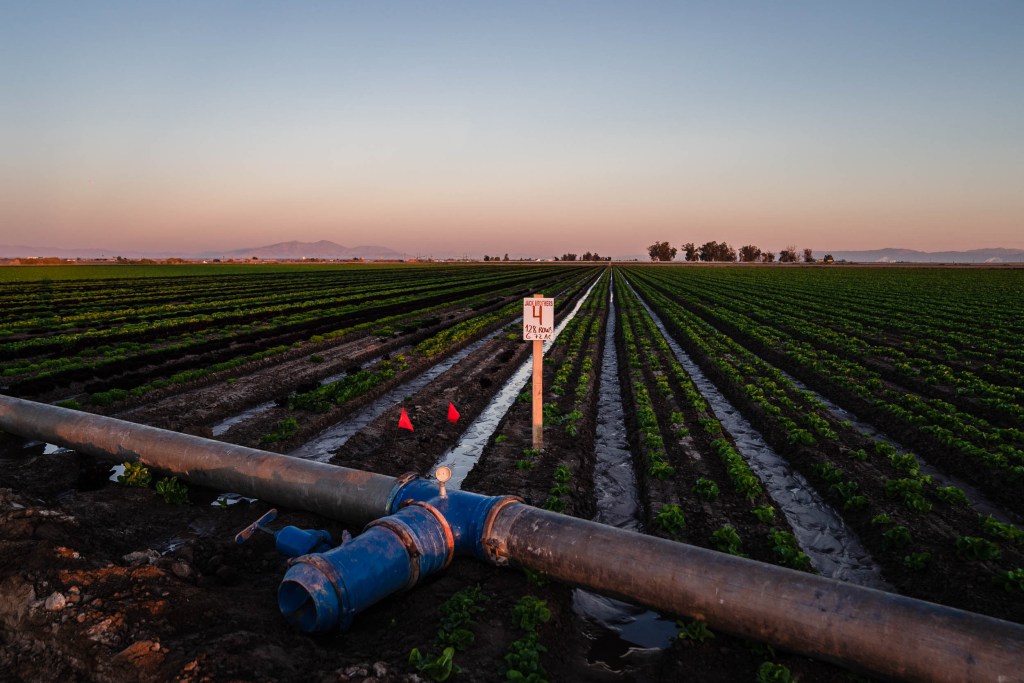 These Imperial Valley Farmers Want to Pay More for Their Colorado River Water