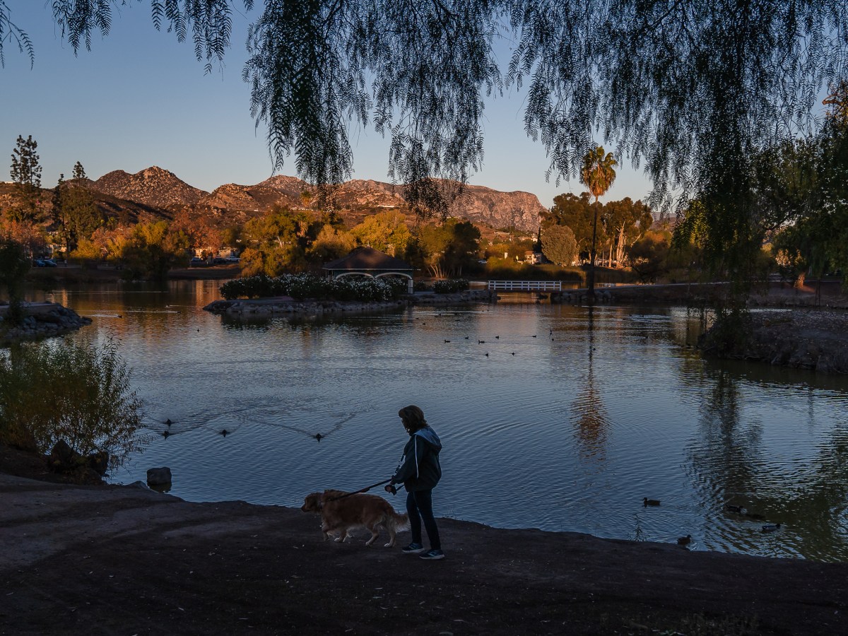 We’re Releasing Our Data on Covid-19 Deaths in San Diego County