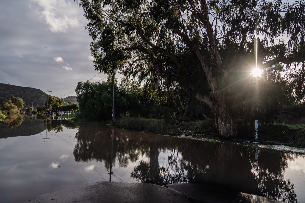 View of Hollister Street in San Ysidro on Jan. 17, 2023.