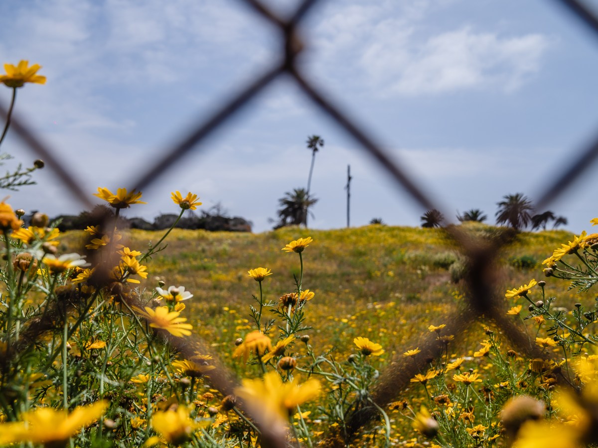 The Fairgrounds Board And City of Del Mar Are Still Beefing 