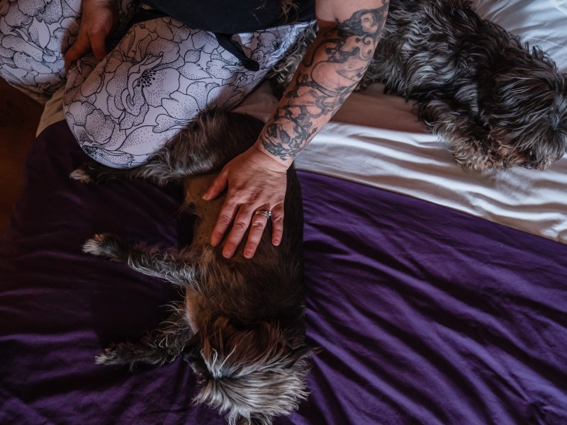 Tami Grobarek at Motel 6 with her dogs North and Rags in El Cajon on May 19, 2023.