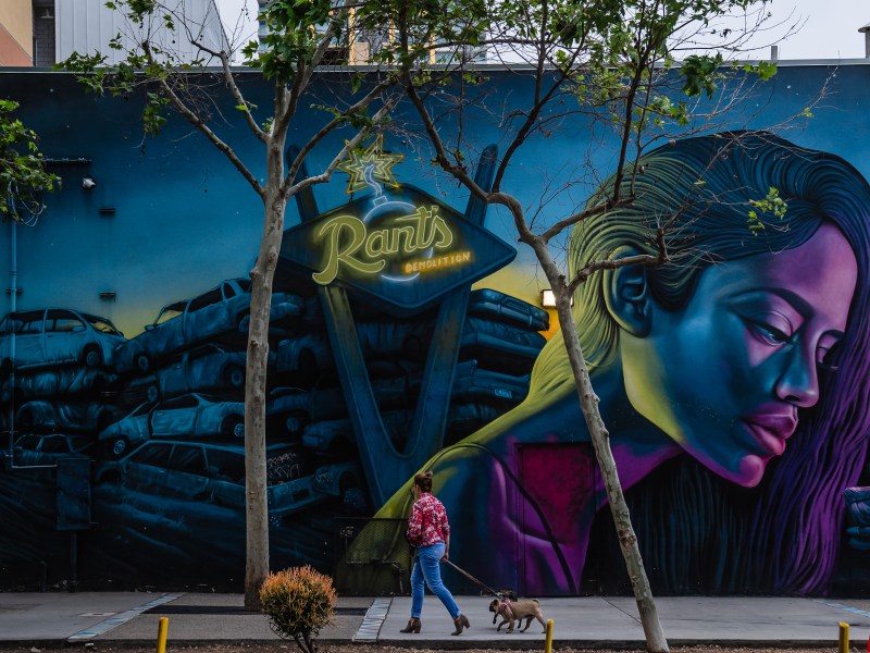 A woman walks her dog in front of a mural in the East Village on May 12, 2023.