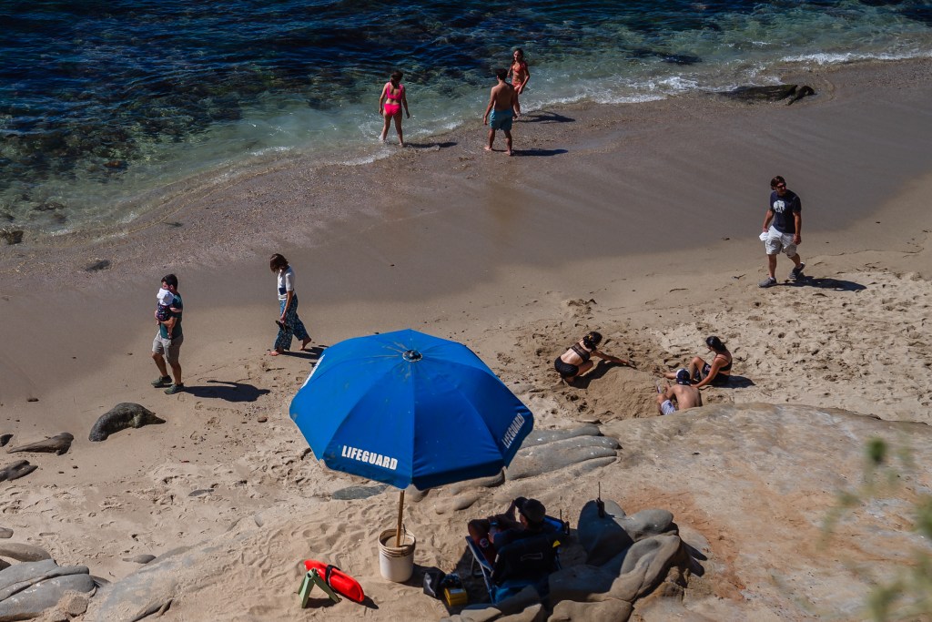 People hang out at the beach in La Jolla on Aug. 29, 2023.
