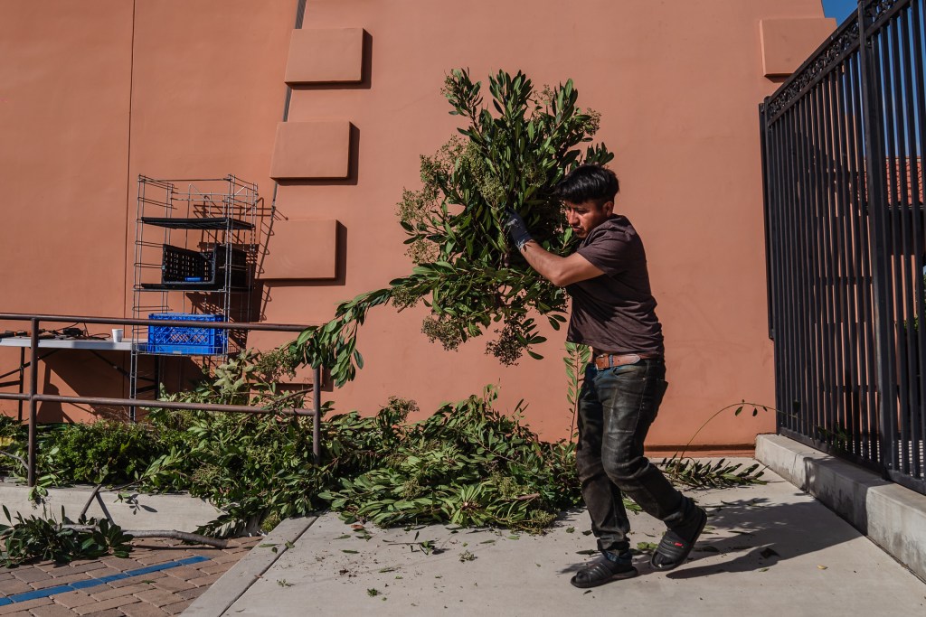 A farmer helps with yard work at Catholic Charities La Posada in Carlsbad on Sept. 21, 2023.
