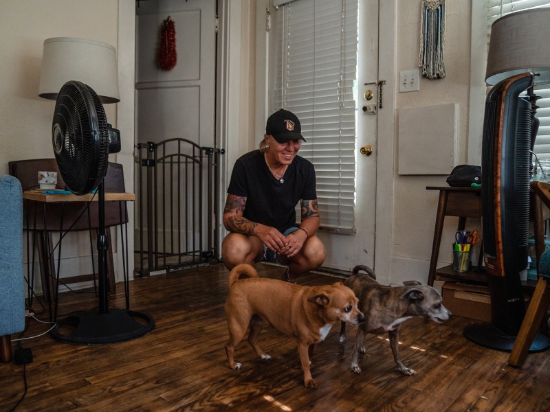 Mishele Stead with her rescue dogs in Golden Hill.