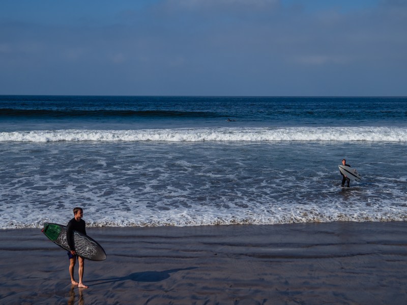 Surfers at Harbor Beach in Oceanside on Sept. 1, 2023.