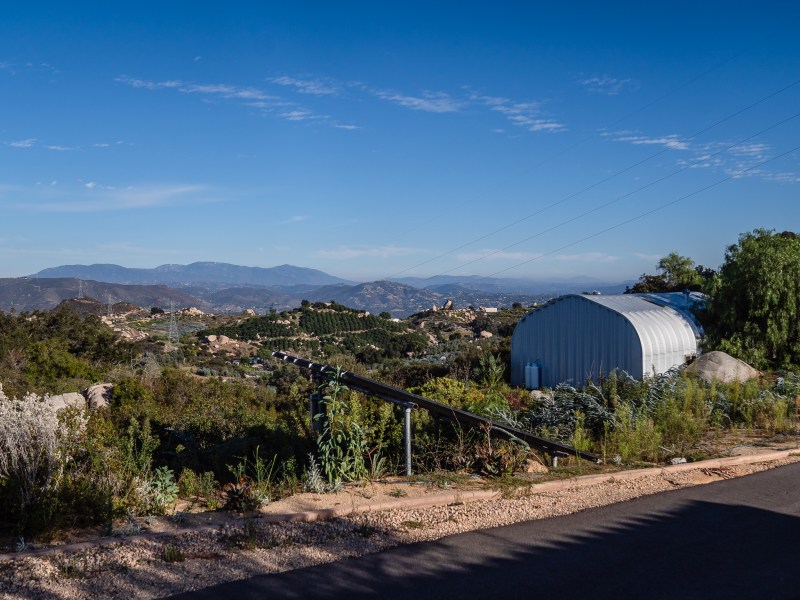 Paula and Daniel Coxe's farm in Fallbrook on Oct. 9, 2023.
