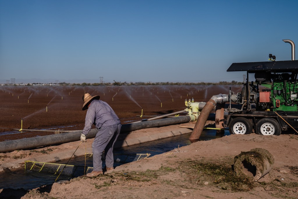 A worker cleans grates in an irrigation ditch in Imperial Valley on Oct. 10, 2023.. A pump sends Colorado River water to sprinklers on a farm field.