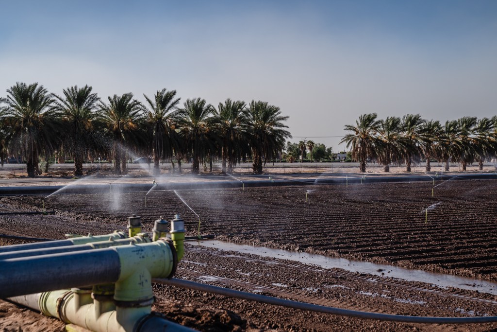 Sprinklers can be seen over a field in Imperial Valley on Oct. 10, 2023.