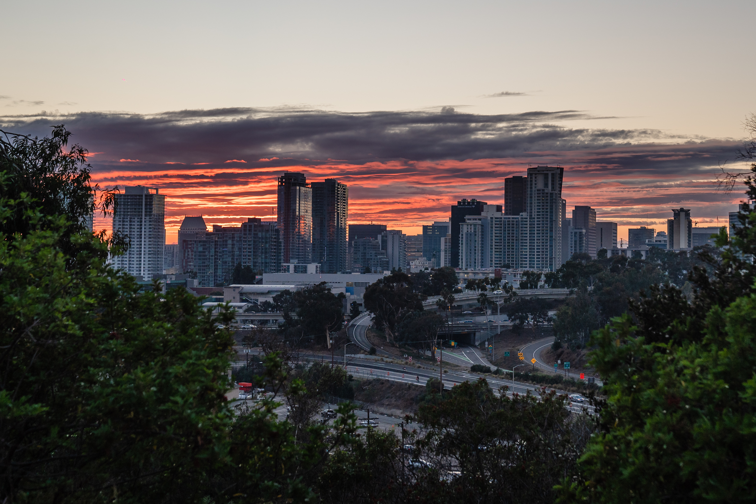 View of downtown from Golden Hill Park on Nov. 17, 2023.