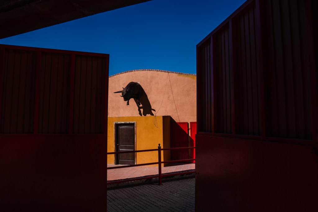 A statue of a bull hangs above the door at Nuevo Toreo de Tijuana on Dec. 13, 2023.