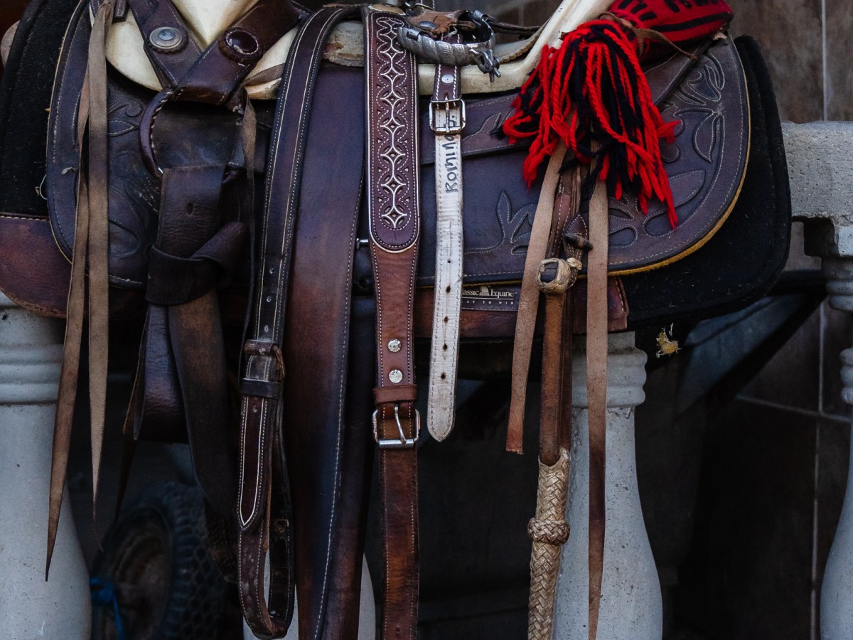 Manuel Bowser Gonzalez's horse saddle near his home in Tijuana on Dec. 13, 2023.