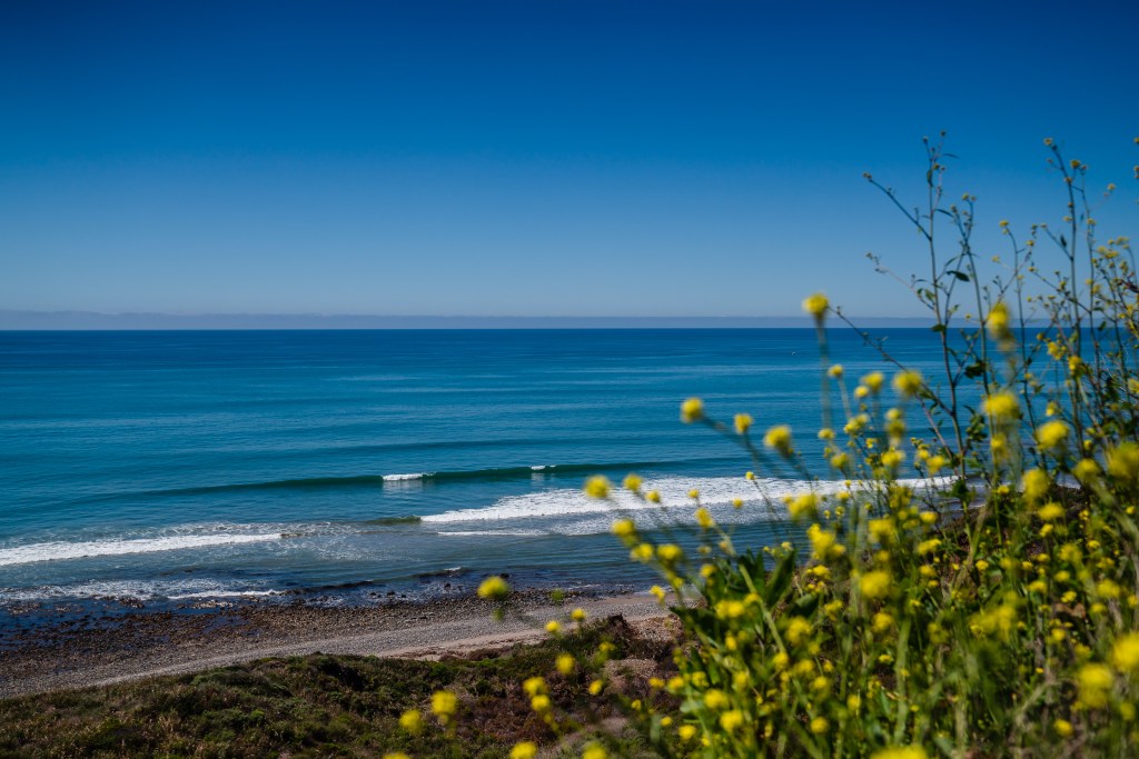 San Onofre State Beach, 3 miles south of San Clemente on March 19, 2024. / Photo by Ariana Drehsler for Voice of San Diego