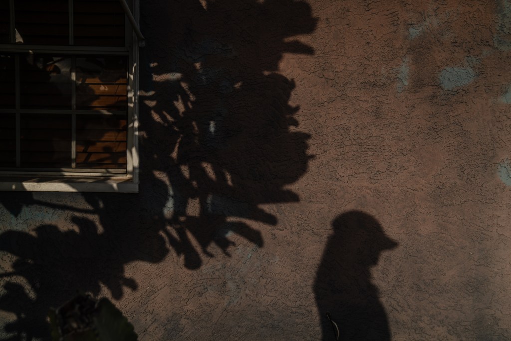 A woman’s shadow can be seen on the wall of a home on May 17, 2024, in San Diego. / Photo by Ariana Drehsler for Voice of San Diego