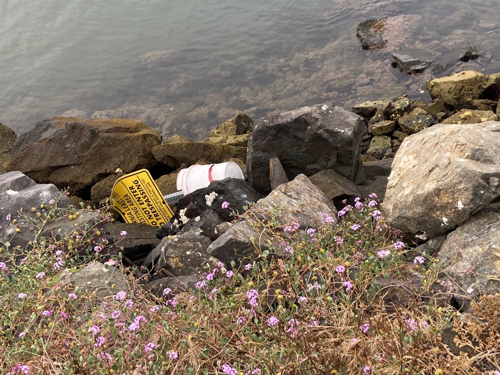 Vandalized sign at endangered least tern nesting site at Mariner's Point in Mission Bay. / San Diego Audubon Society