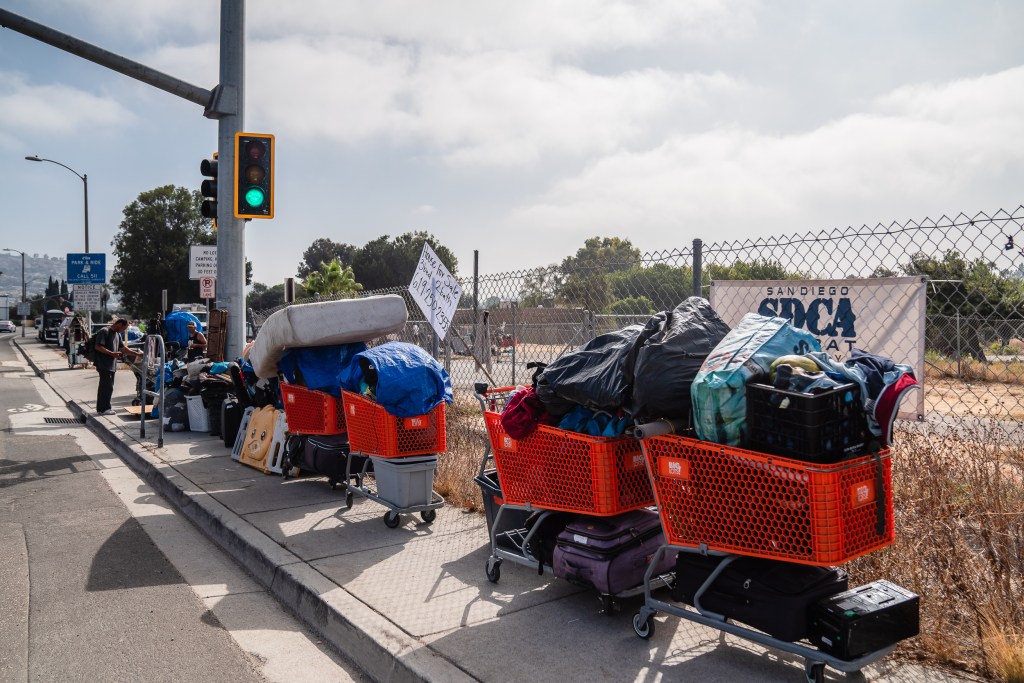 Shopping carts used to transport belongings of people who are unhoused are seen in Spring Valley off of Jamacha Boulevard on July 31, 2024. / Ariana Drehsler for Voice of San Diego