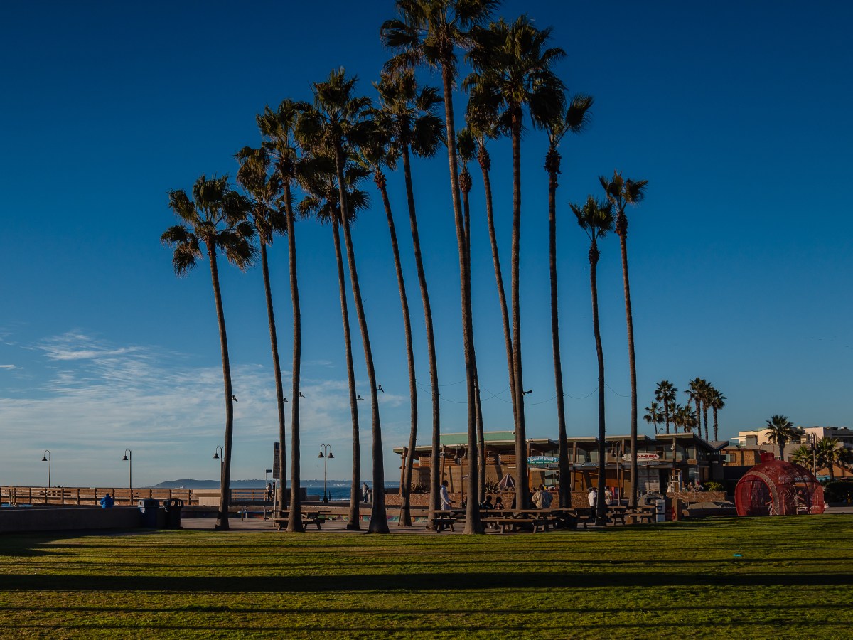 Sacramento Report: How to Survive the Holidays and Avoid Civil War