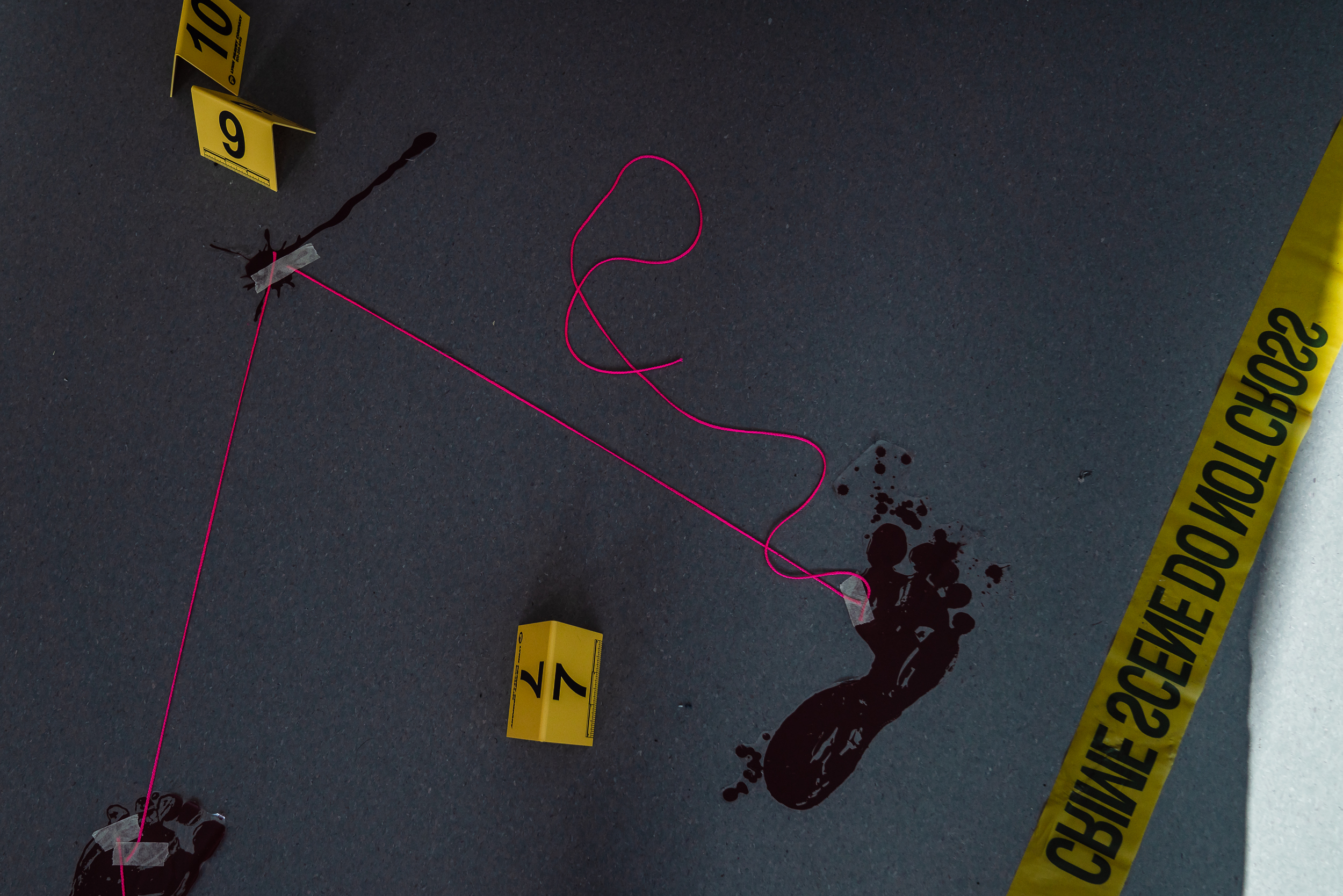 Four-Year Degrees or Credential Programs? Both.