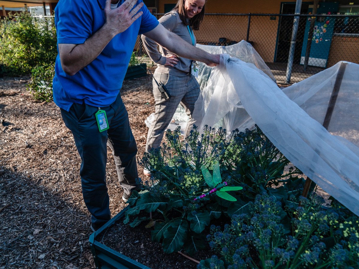 The Learning Curve: Newsom’s Latest Budget Proposal Boosts Community Schools