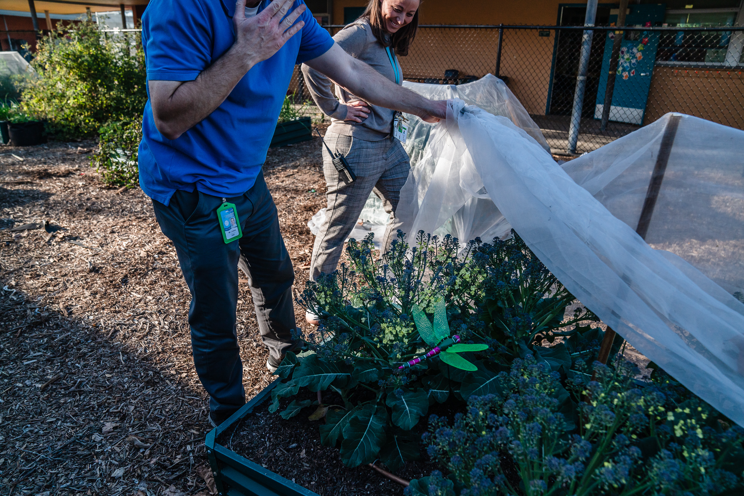 The Learning Curve: Newsom’s Latest Budget Proposal Boosts Community Schools