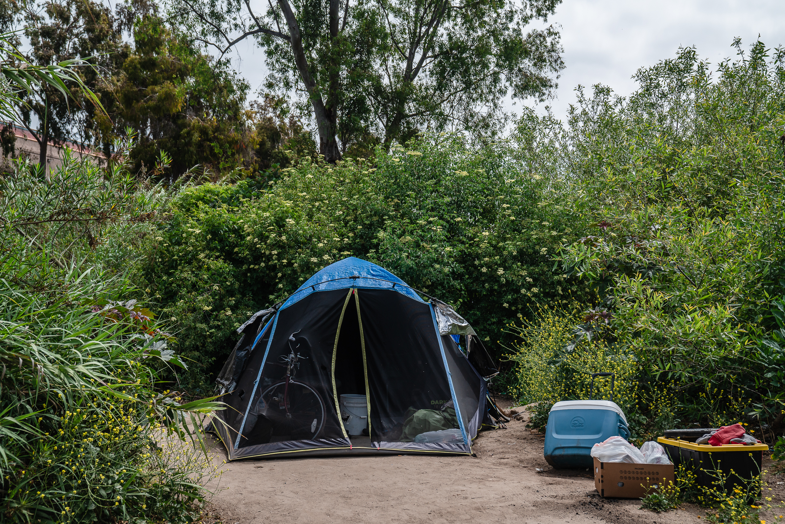 From AI-Powered Fraudsters to Broken Treaties: Top 10 Stories of 2025