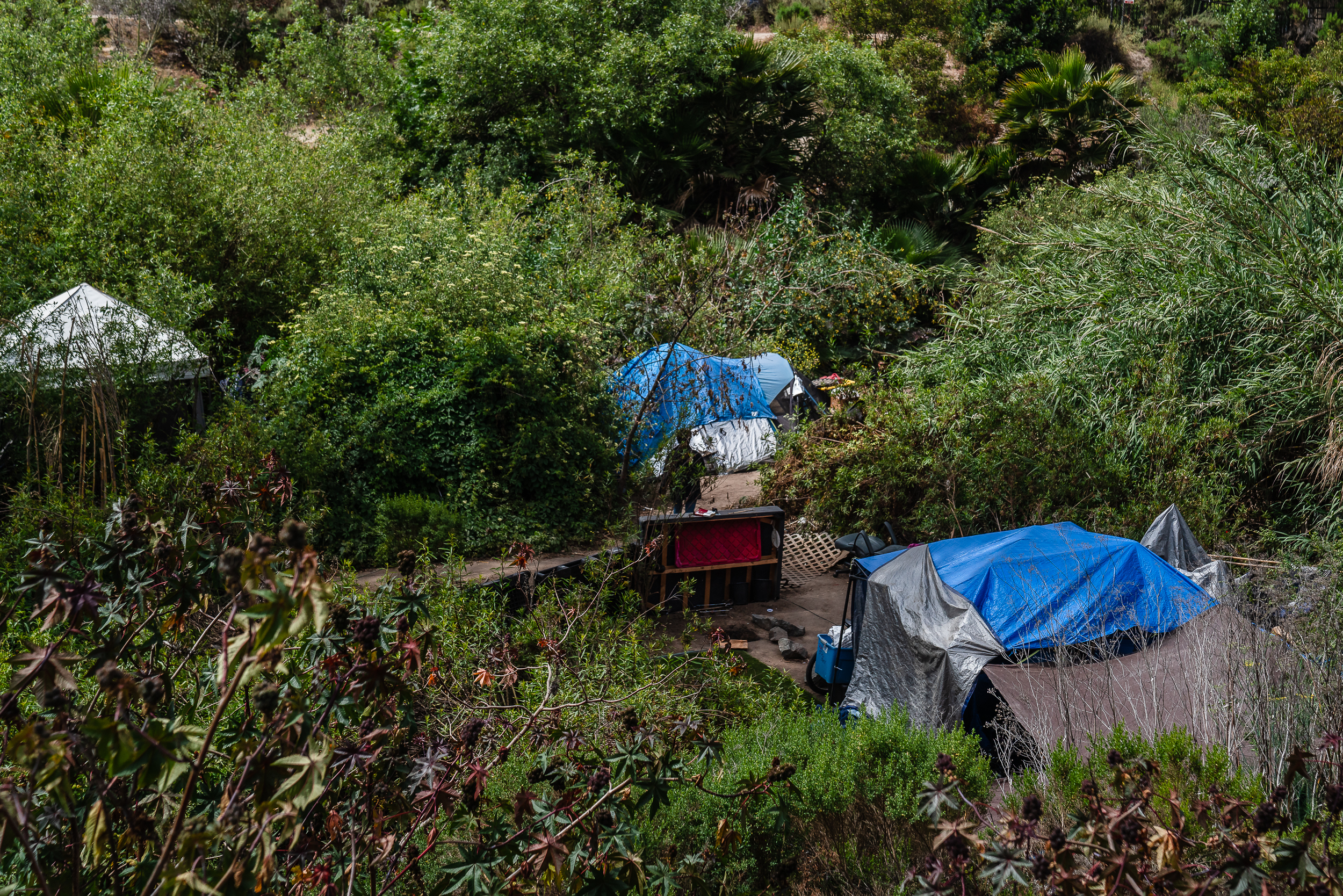 North County Report: Homelessness Decreased Inland, Slightly Increased on Coast, Census Shows 