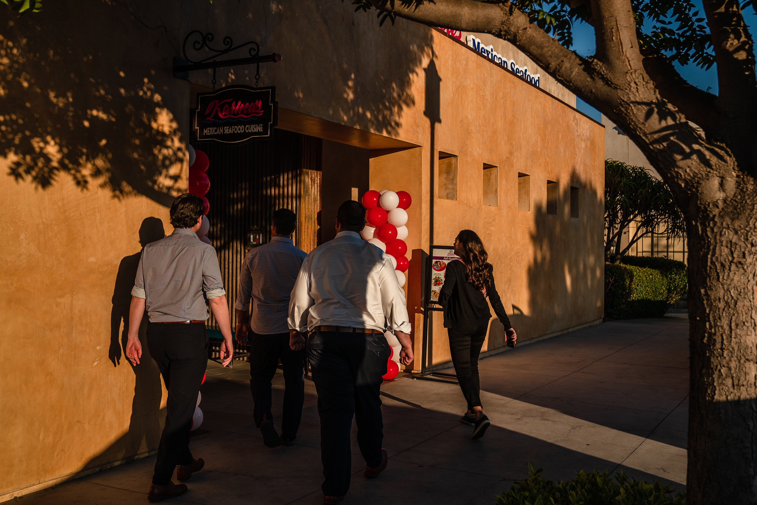 South County Report: A Year Under Trump