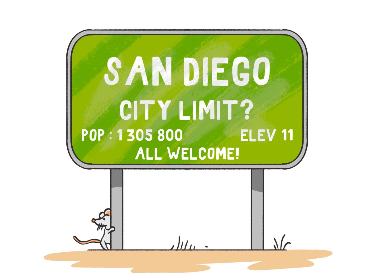 Can San Diego Remain a Hub for Refugees?