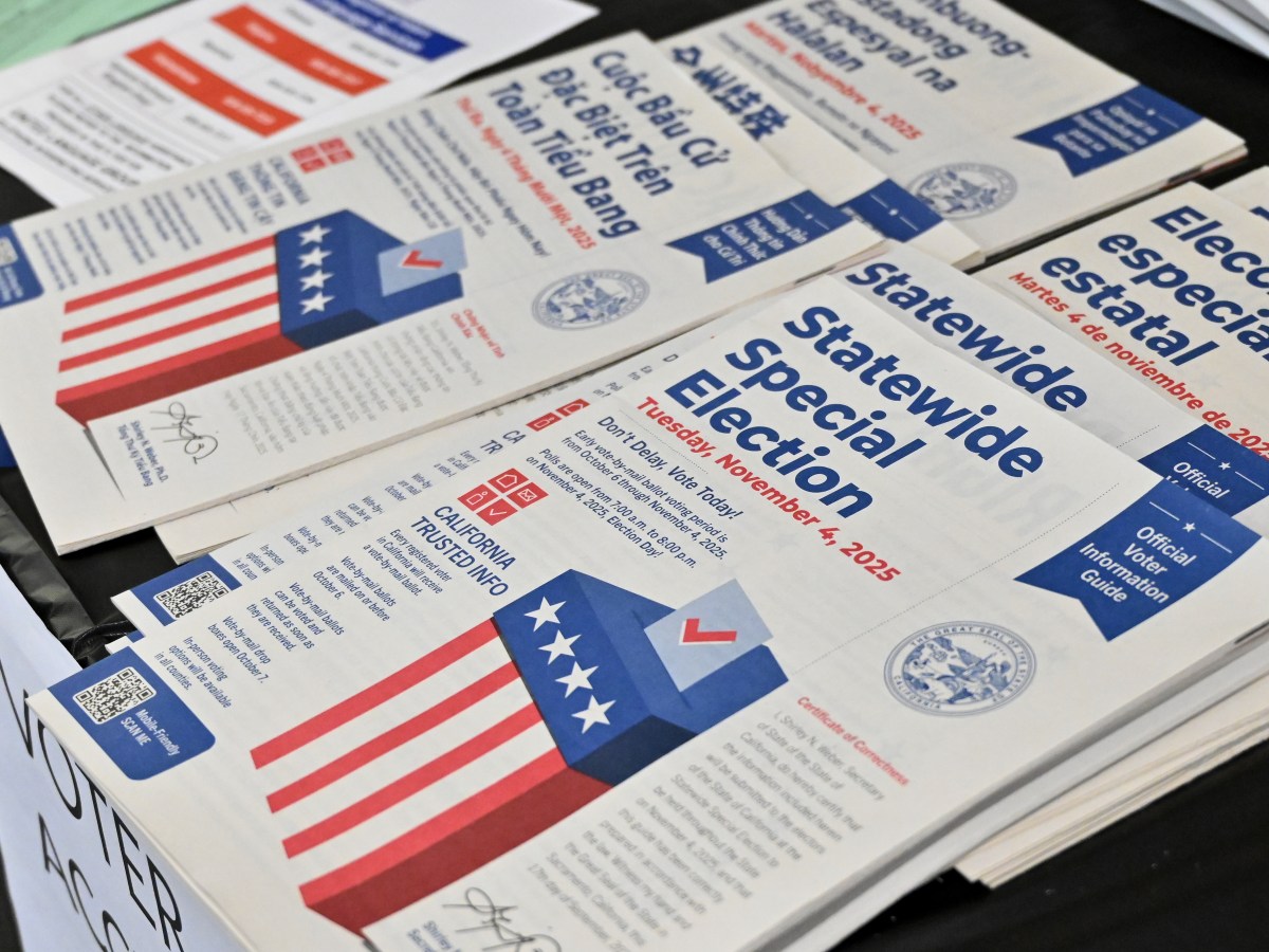 North County Report: Election Races We’re Watching This Year 