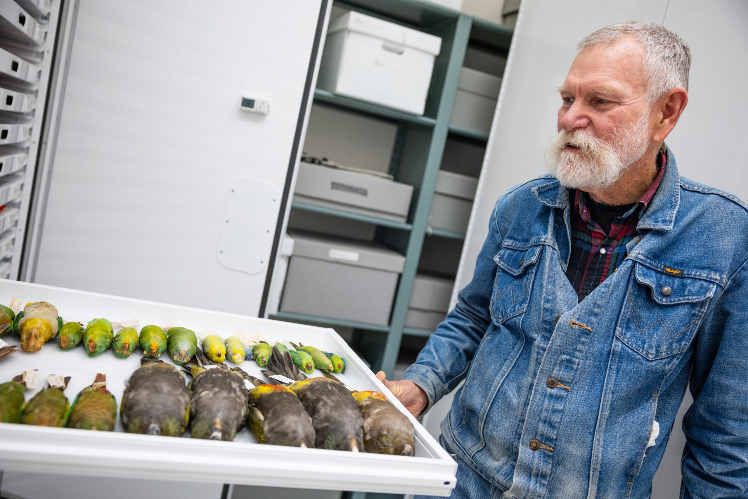 Environment Report: A Conversation with San Diego’s ‘Bird Wizard’ 