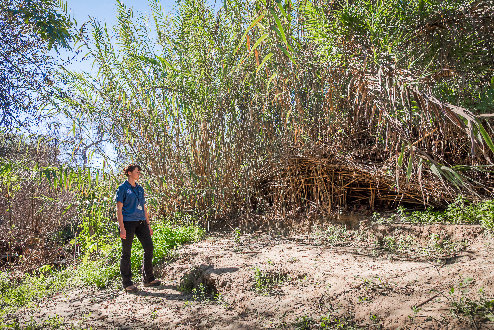 Morning Report: A Homelessness-to-Housing Experiment That’s Working