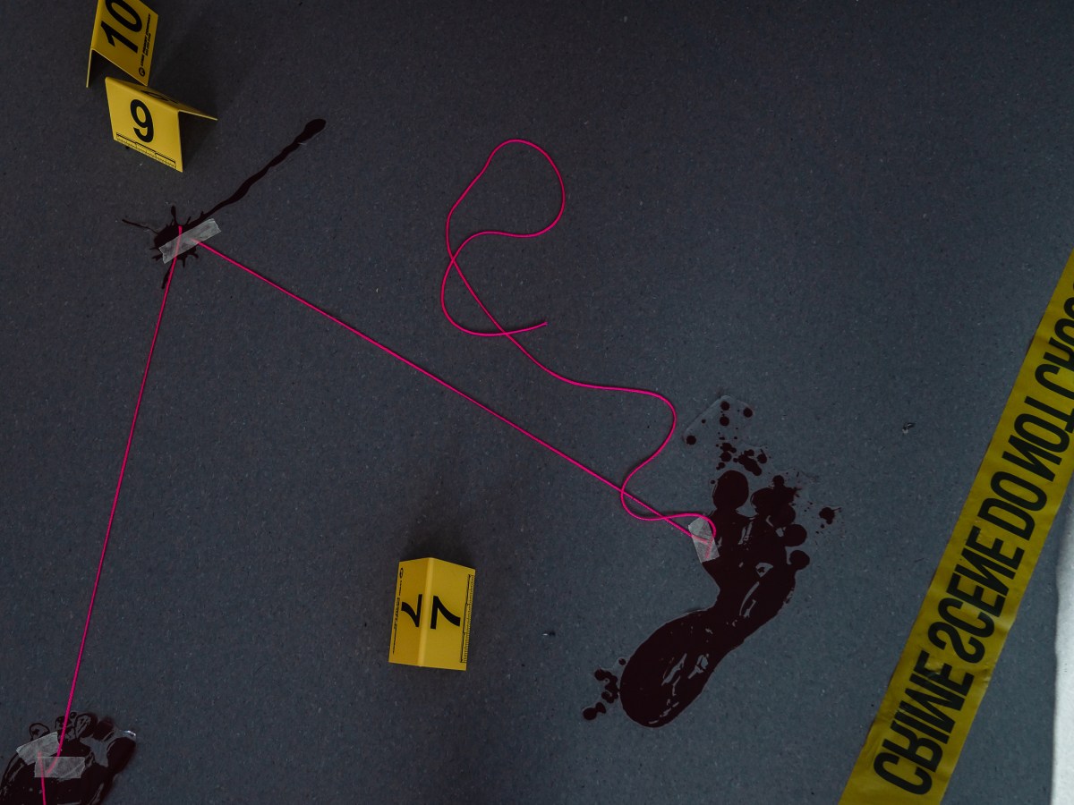 ¿Carreras de cuatro años o programa de créditos? Ambos