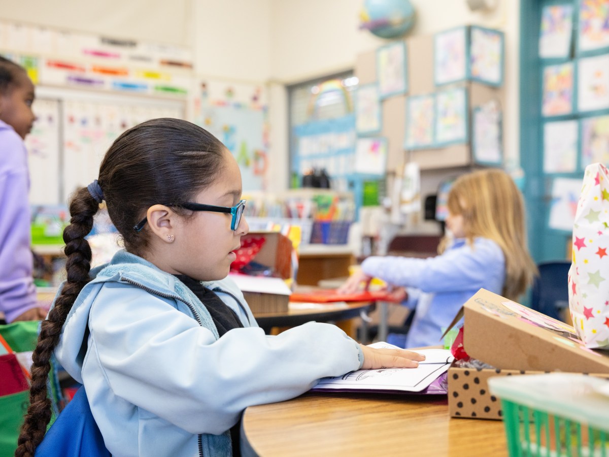 The Learning Curve: The Schools Guide is Back, Baby!