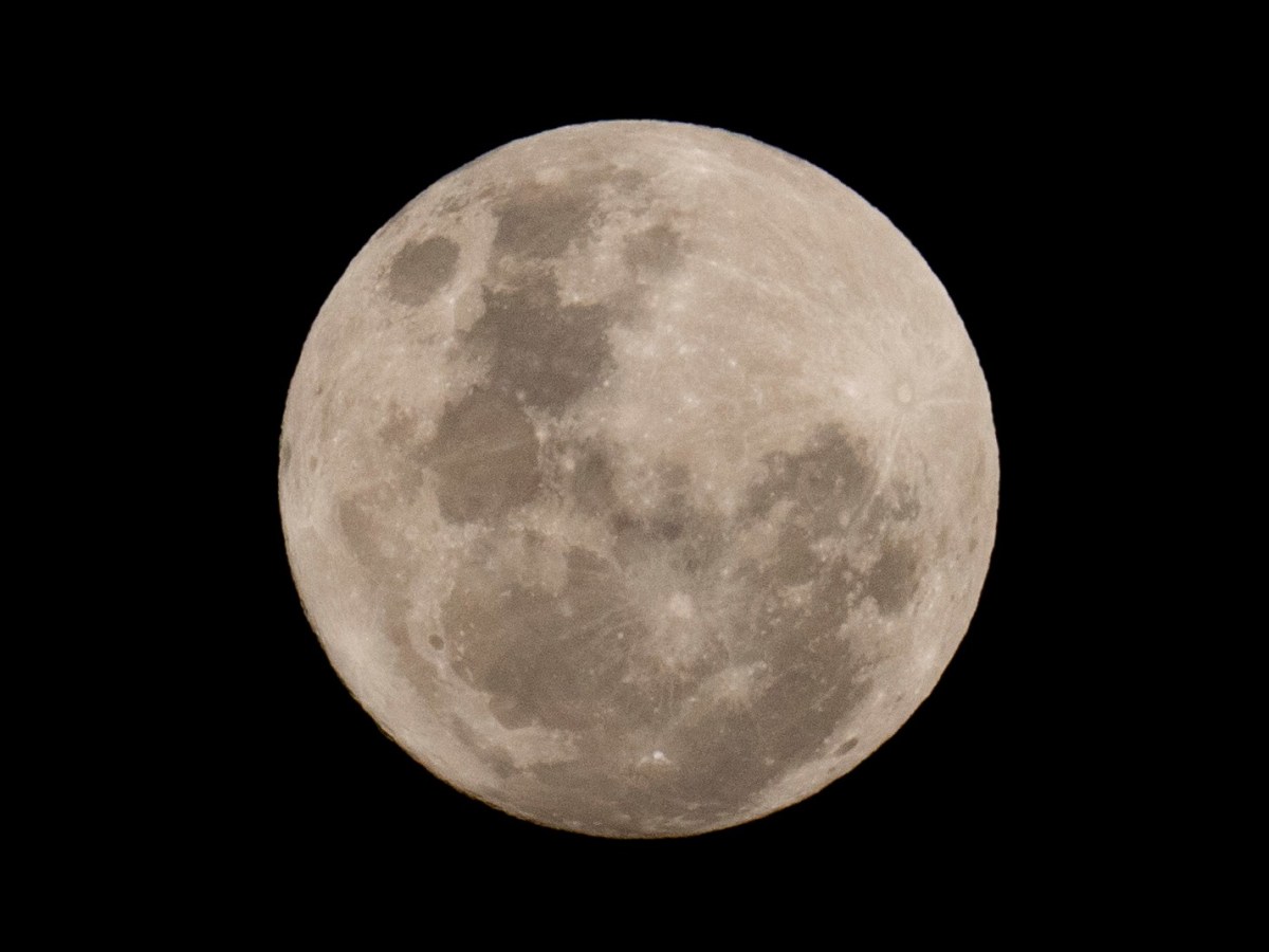 VOSD Podcast: Lunar Cycles