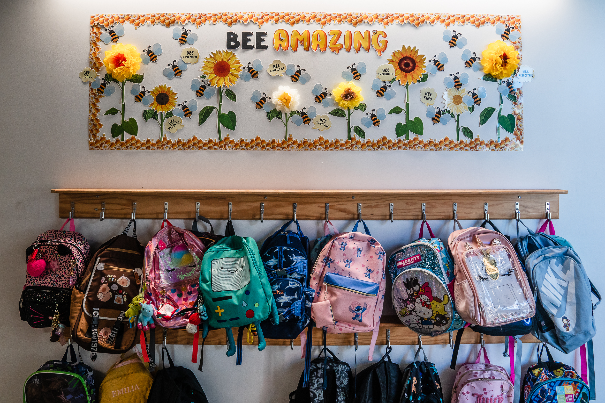 Substitutes are Staffing a lot of Special Ed Classes