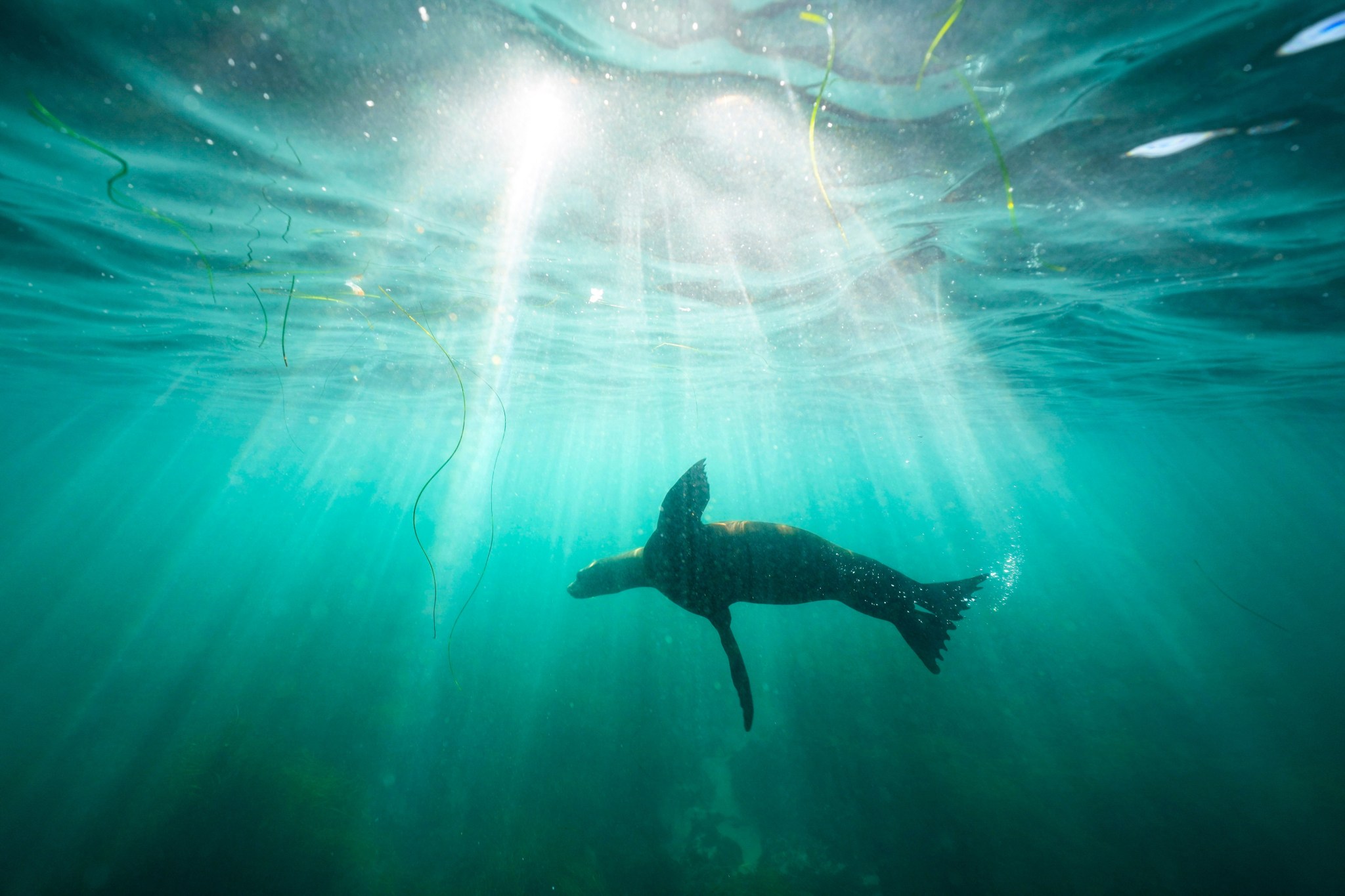 More Fallout From Misconduct Records – [your]NEWS
